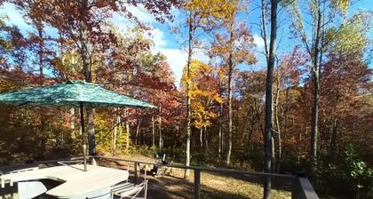 Quiet retreat in the Daniel Boone National Forest, near the Red River Gorge.