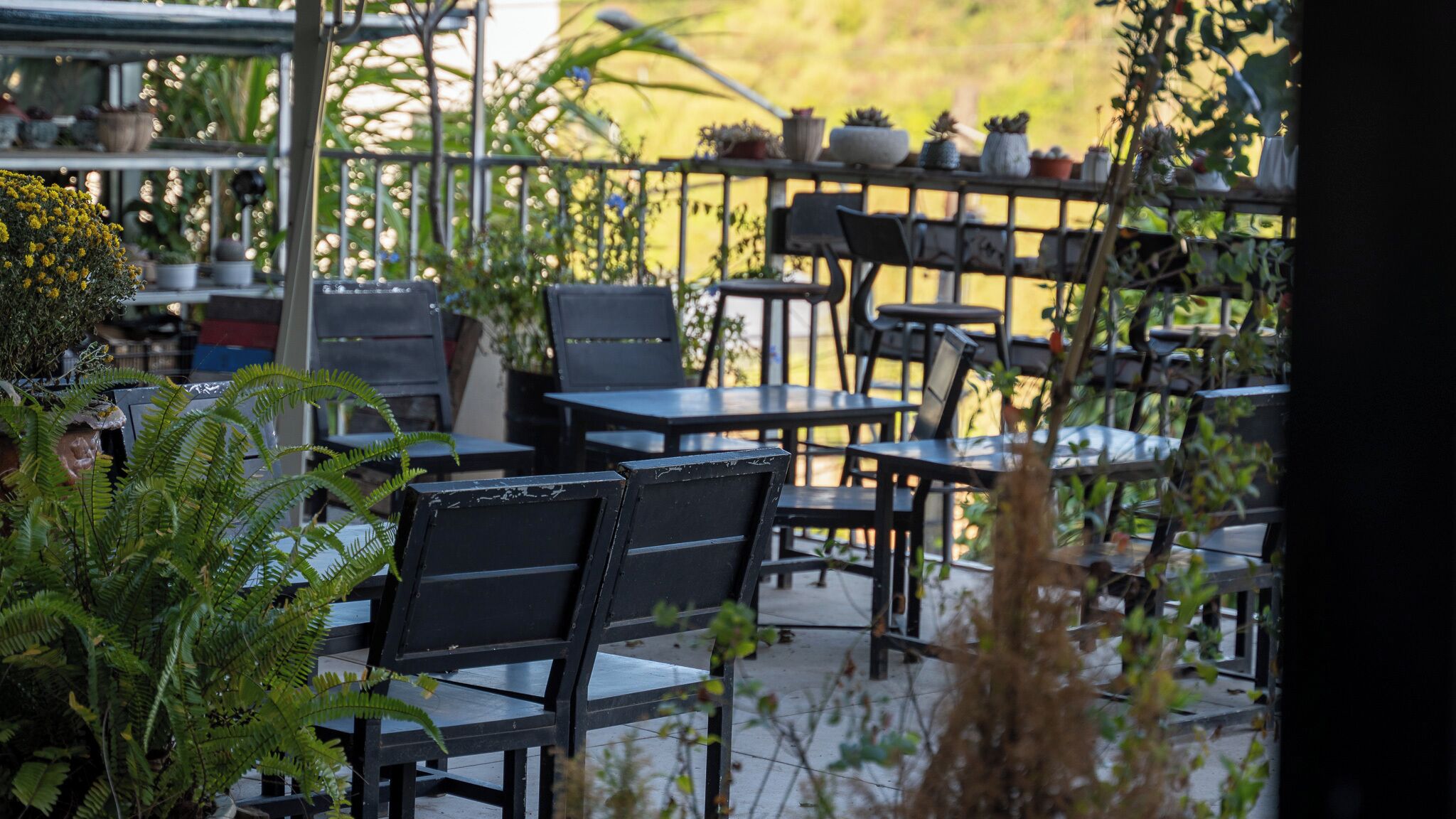 Une terrasse extérieure dotée de plusieurs tables et chaises, entourée de plantes en pot et de verdure.