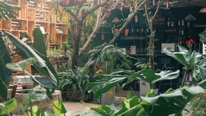 A lush indoor garden with various plants and a wooden structure in the background. - Gio Homestay  (Xuan Huong - Da Lat)