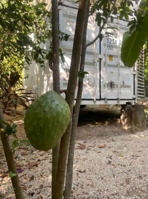 Overnatningsstedets område