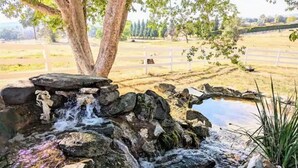 Un paysage naturel avec une petite cascade, un étang et une clôture blanche en arrière-plan.