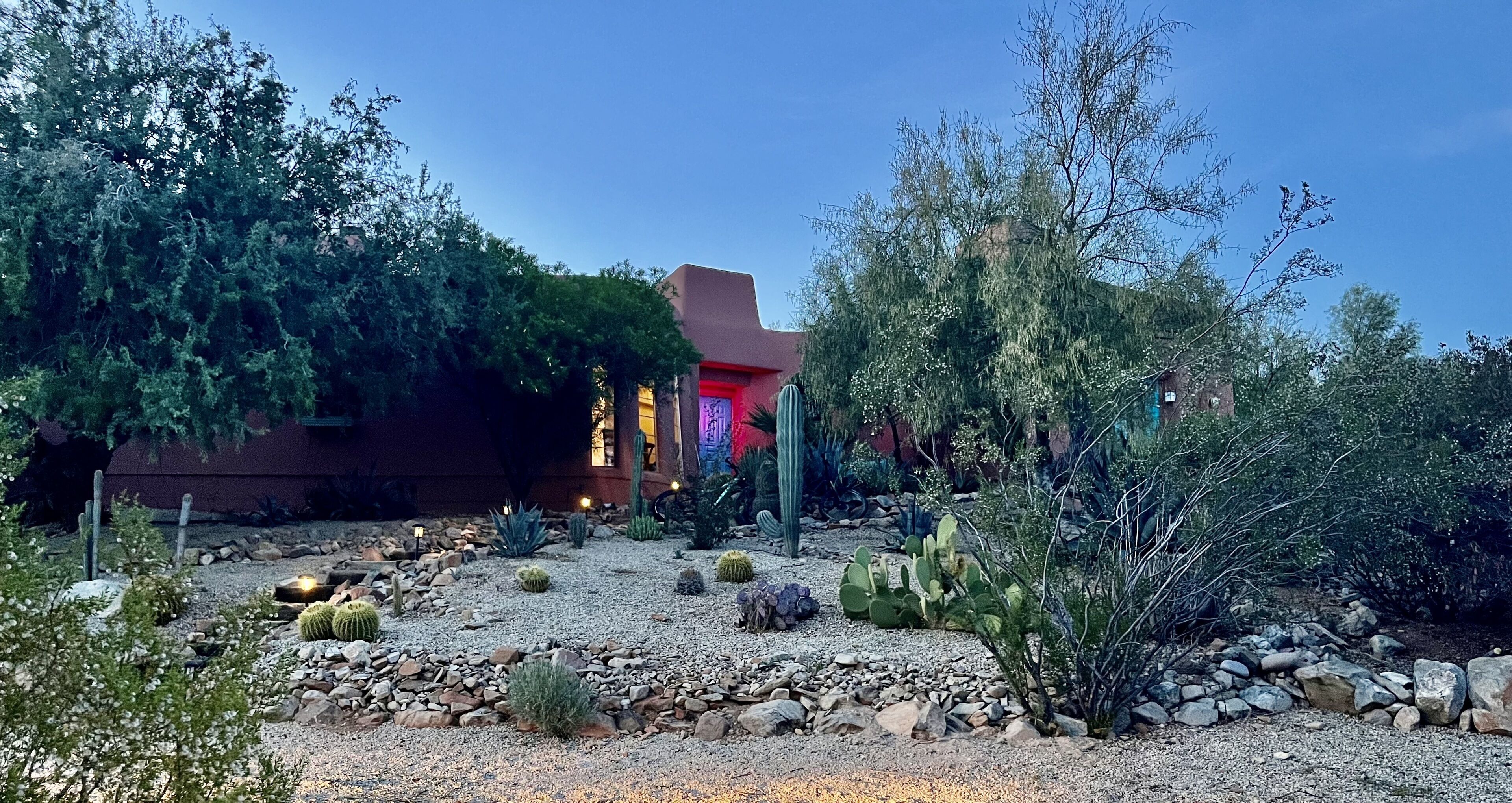 Un jardin désertique avec des cactus et un bâtiment illuminé de lumières rouges et bleues.