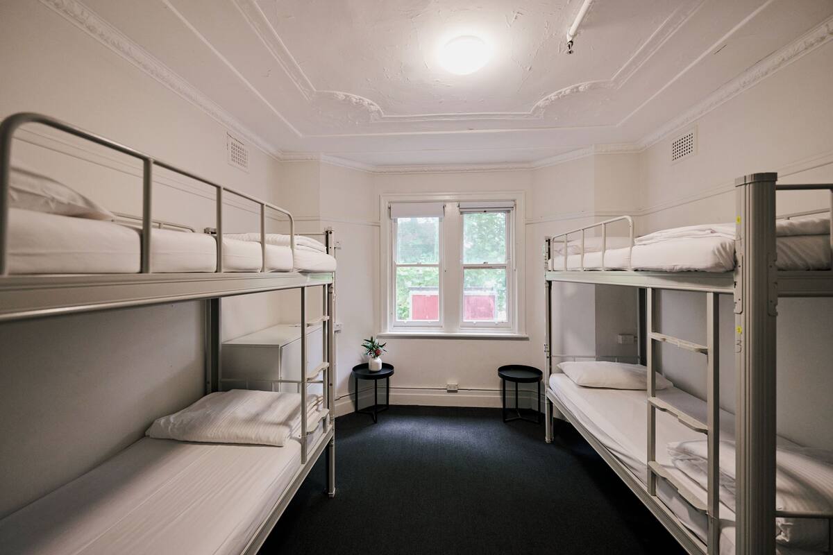 A room with bunk beds, a small table with a plant, and a window with a view of greenery.