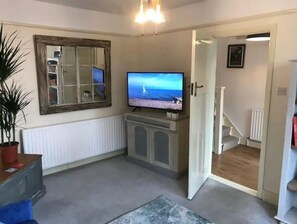 Smart TV, fireplace, books