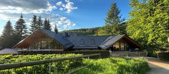Gemütliche Fewo für 2 Familien mit Schwimmbad - im Wald!