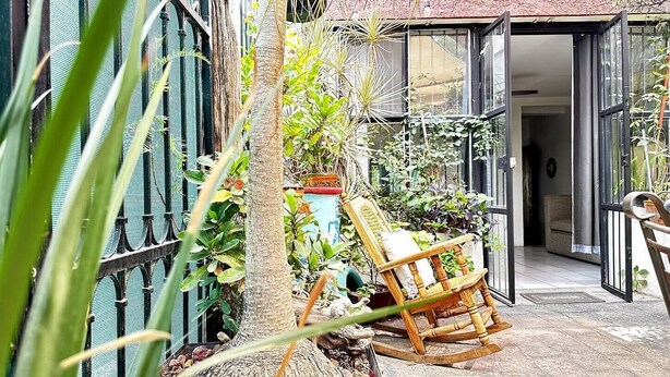 Ein Garten mit einem hölzernen Schaukelstuhl, einem Baum und verschiedenen Pflanzen.