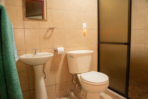 Shower, towels, toilet paper