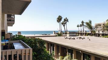 Condo, 1 King Bed, Pool Access, Ocean View (A117) | Property grounds