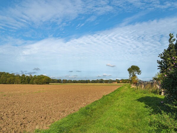 A rural landscape with a plowed field and a grassy path.