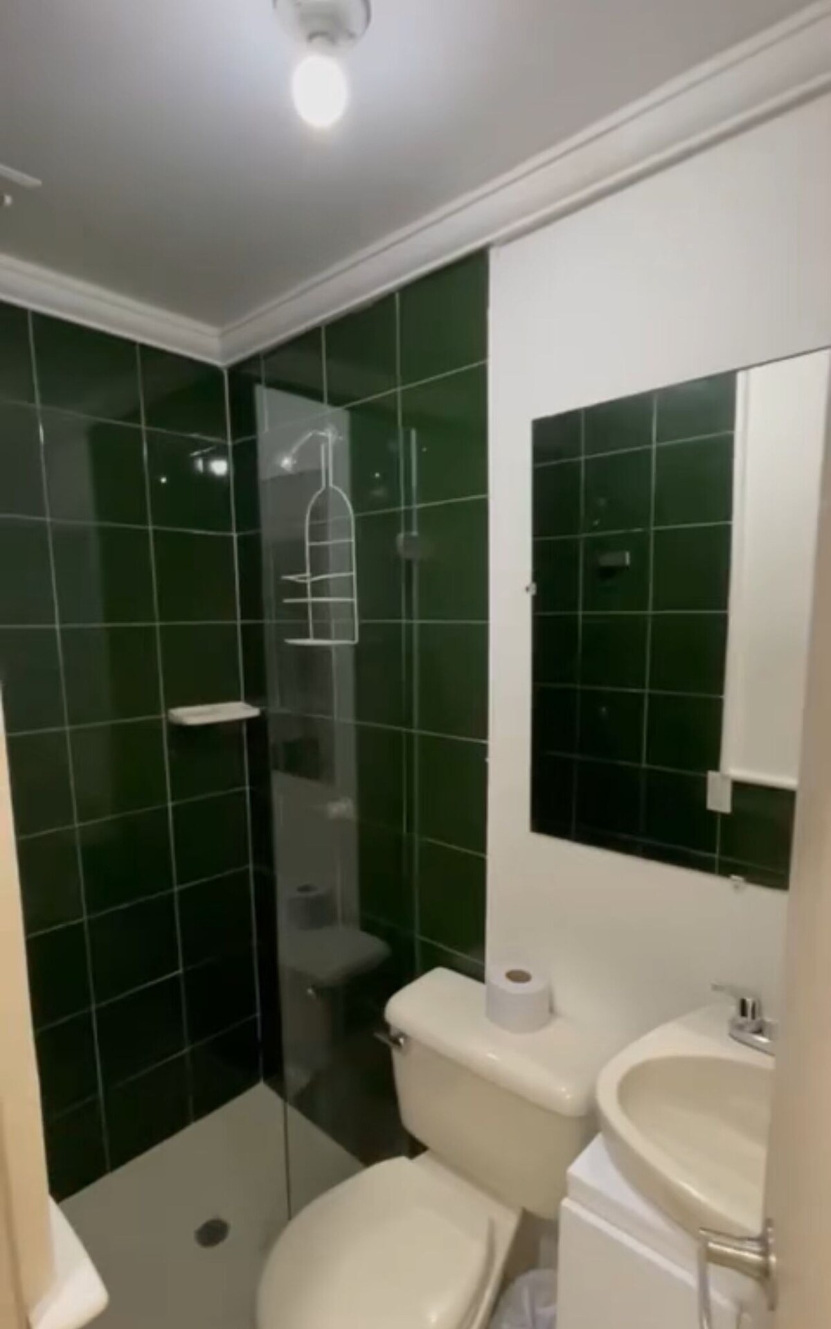 Imagen de perfil del propietario o de la propietaria