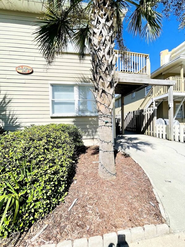 A building with a palm tree, a small garden, and a wooden fence.