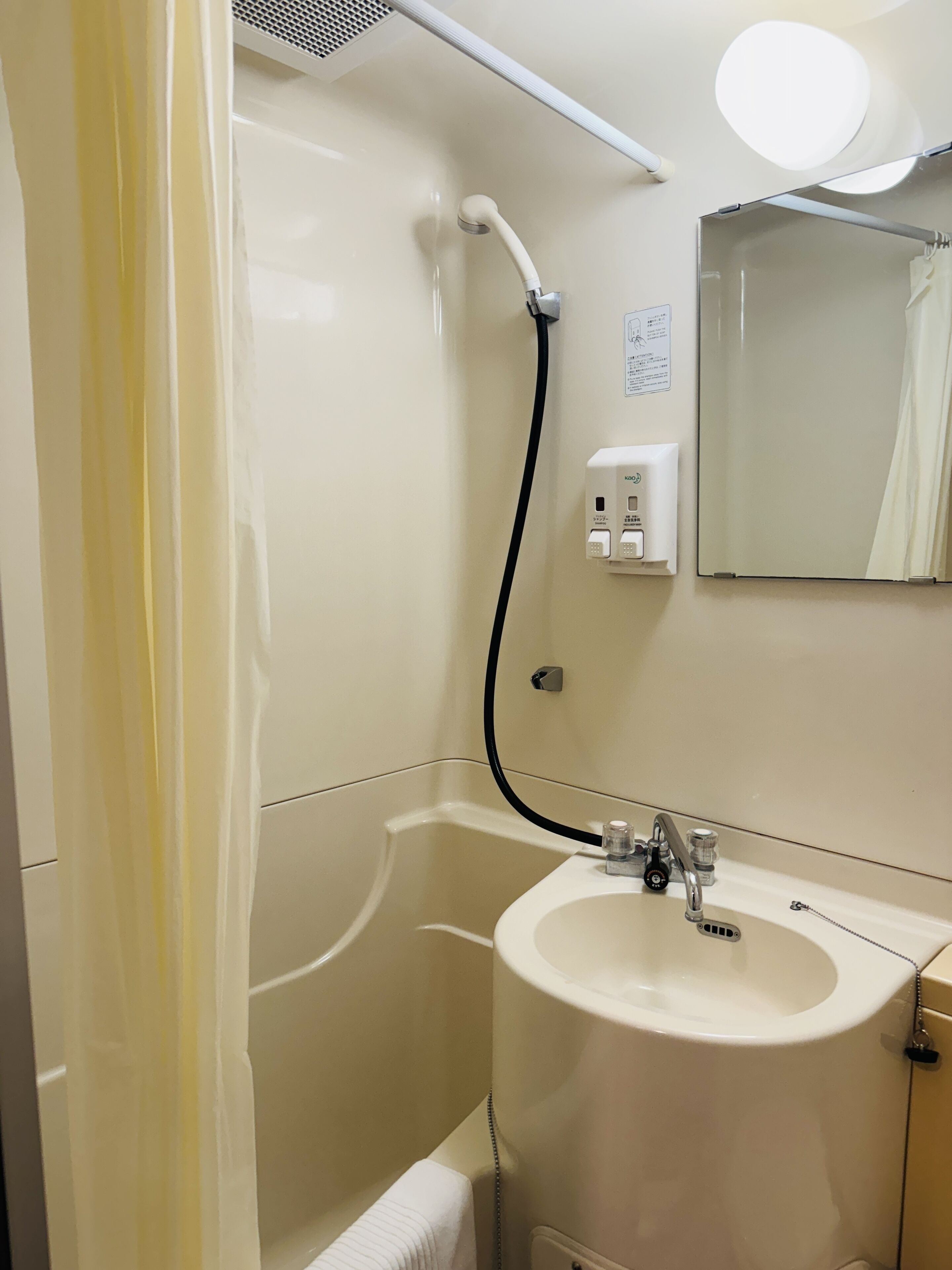 combined shower/bathtub, hair dryer, slippers, towels