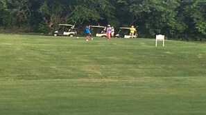 Golf - Sephina Villa St Lucia Island (Gros Islet)
