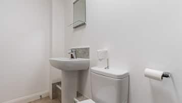 A bathroom with a white sink, a toilet, and a mirror.