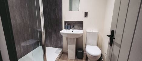 A bathroom with a glass shower enclosure, a pedestal sink, a toilet, and a mirror above the sink.
