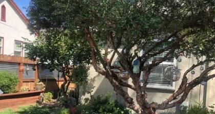 Myrtle Place 1 is a lovely studio apartment