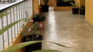A balcony with potted plants and a concrete floor. - Hotel playas (Pedernales)