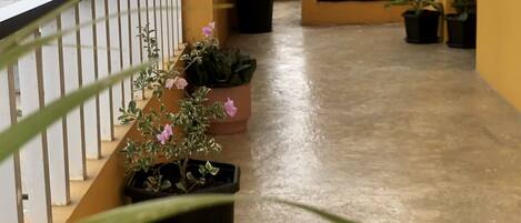 Un balcón con plantas en macetas y suelo de hormigón.