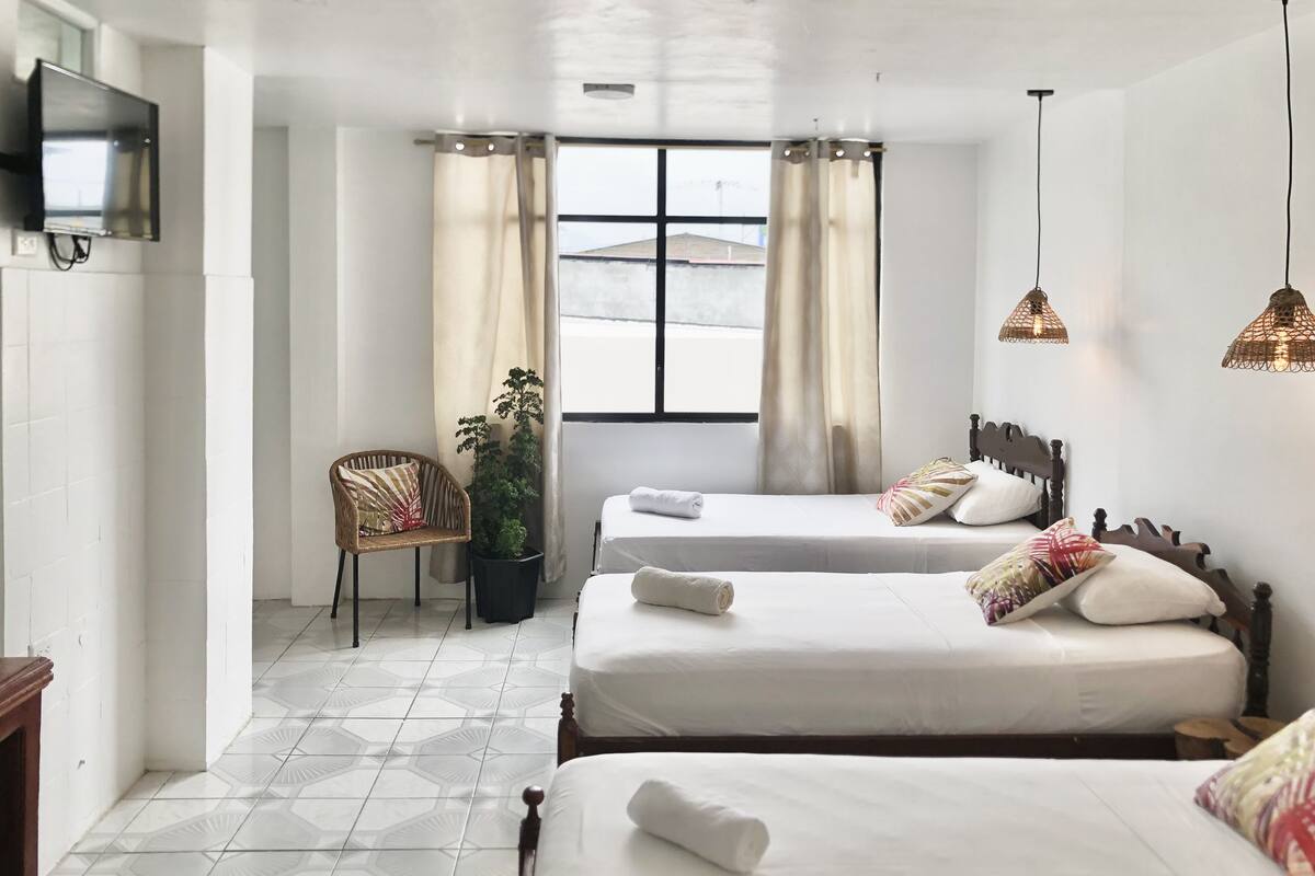 Une chambre d’hôtel avec deux lits, un téléviseur fixé au mur, une plante en pot et une chaise.