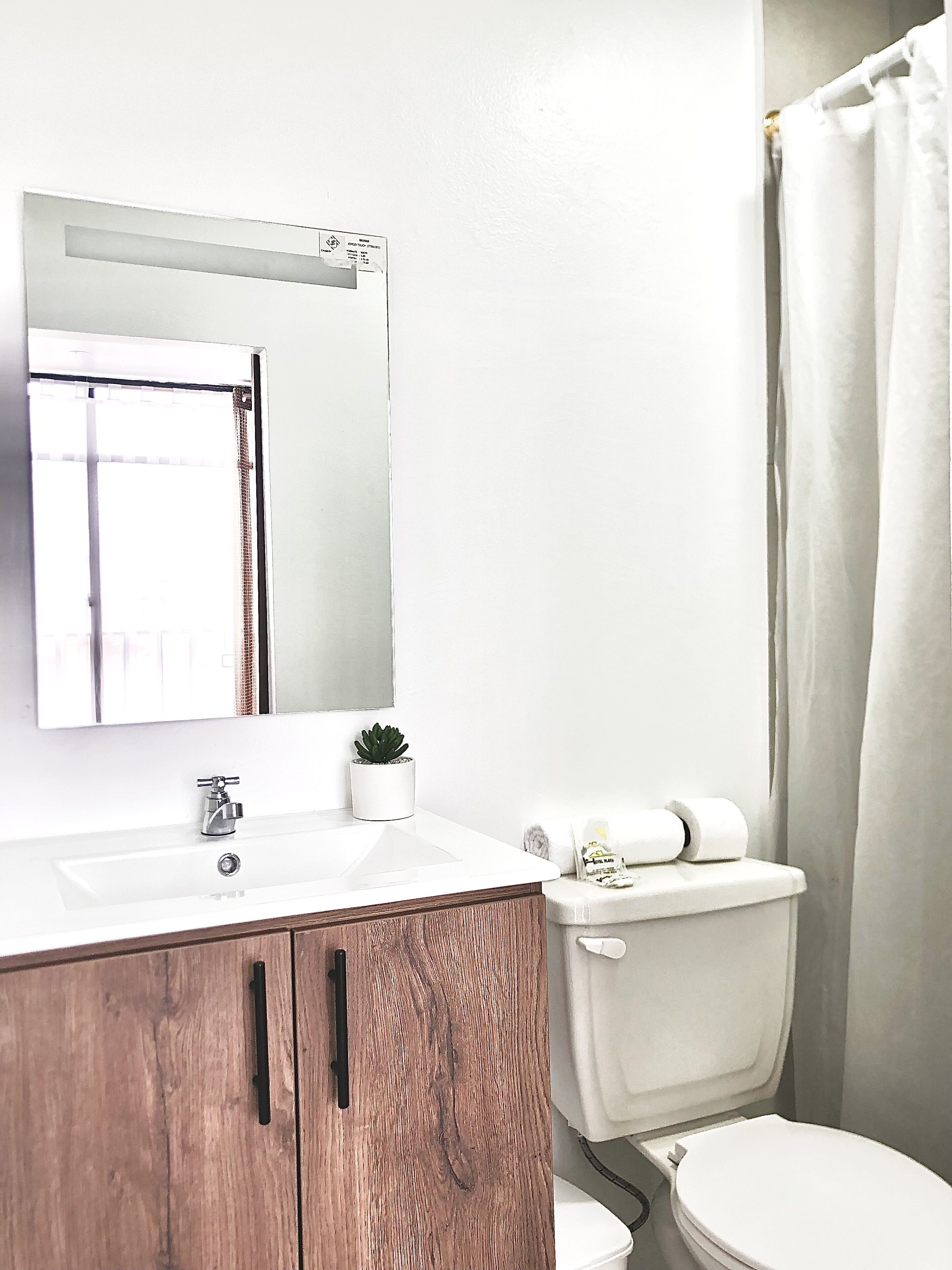 A bathroom with a white sink, a mirror, a small potted plant, a toilet, and a shower curtain.