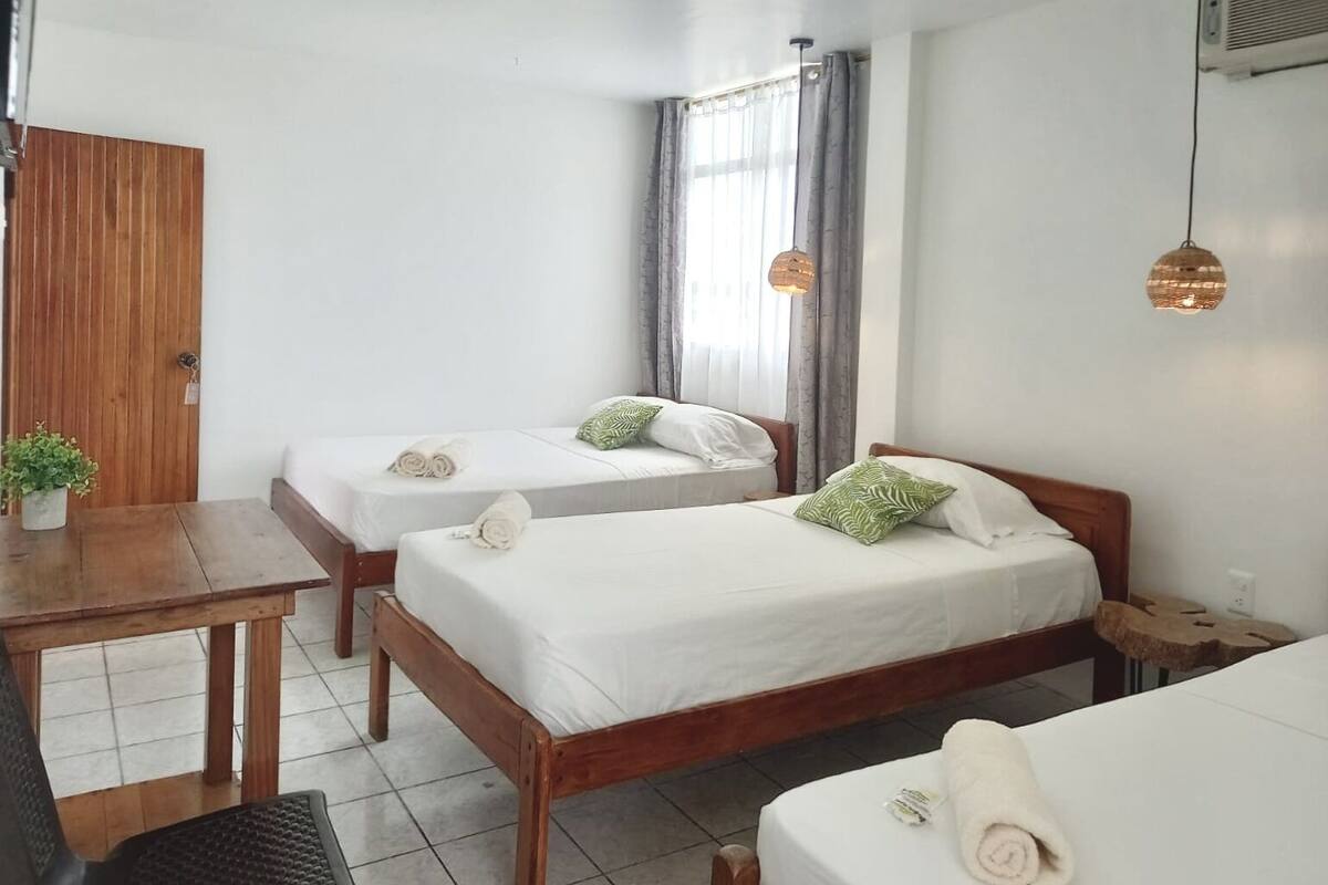Une chambre d’hôtel avec deux lits simples, une table en bois, une petite plante et une fenêtre avec des rideaux.