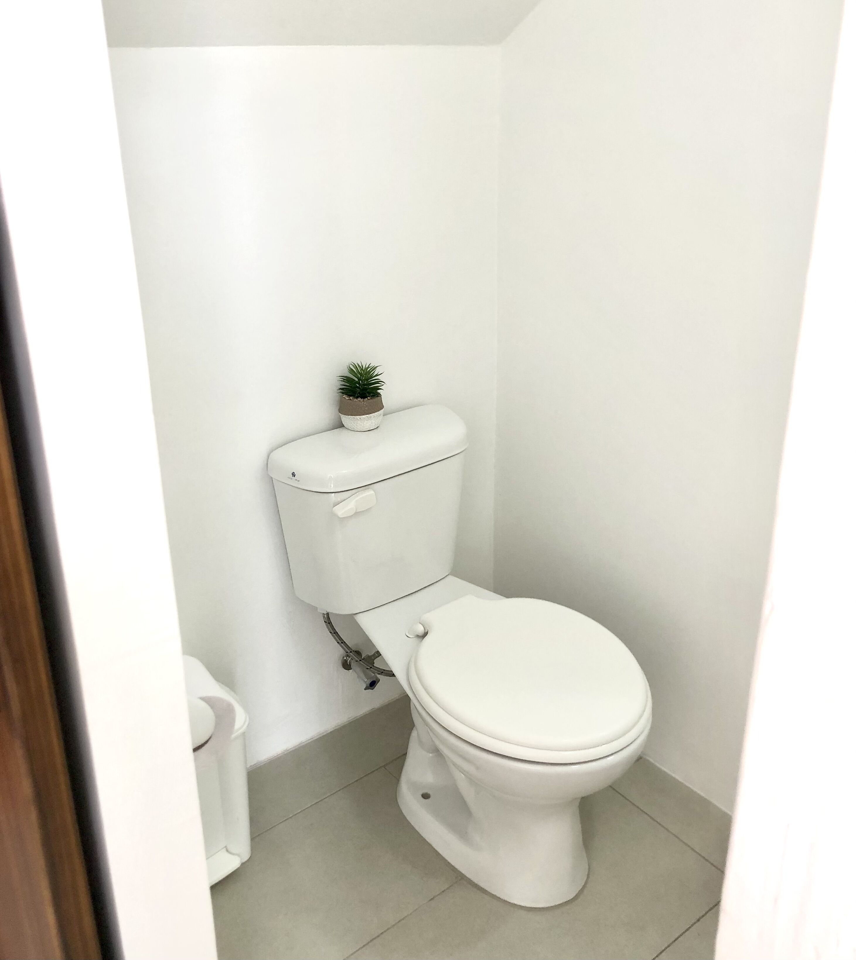 A small, white toilet with a tank and a bowl, a small potted plant on the tank, and a white toilet paper holder to the left.