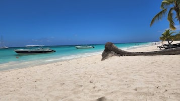 Chaises longues, serviettes de plage