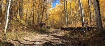 Downtown Aspen 2 Beds 2 Baths Condo For 4+1 guests.