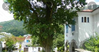 Within the World's Largest Urban Forest