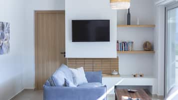 TV, fireplace, books
