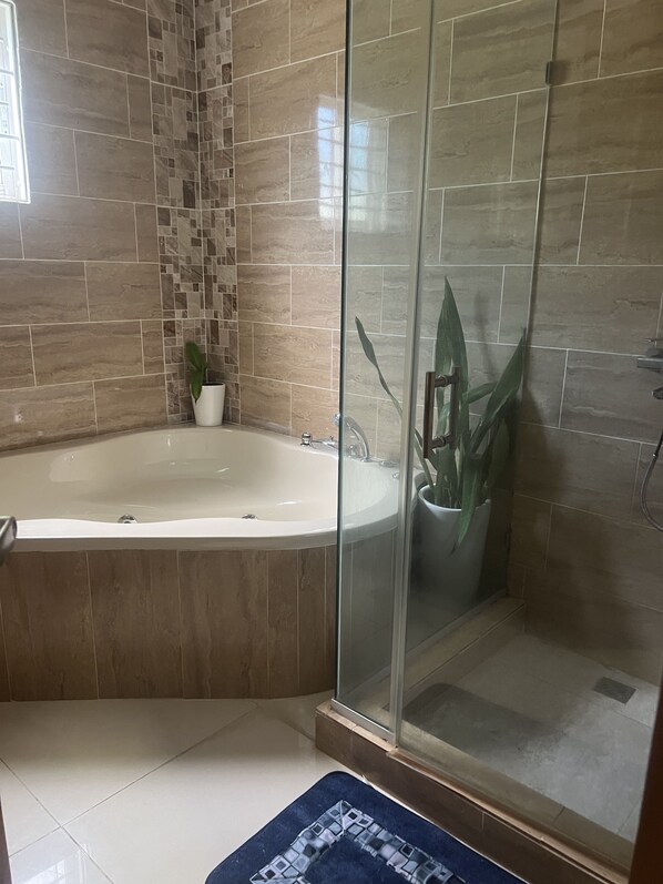 Shower, towels, soap, toilet paper