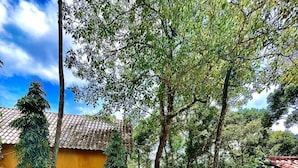 A courtyard with yellow railings, a tiled floor, and various plants. - Refugio Cariguana  (El Valle de Anton)