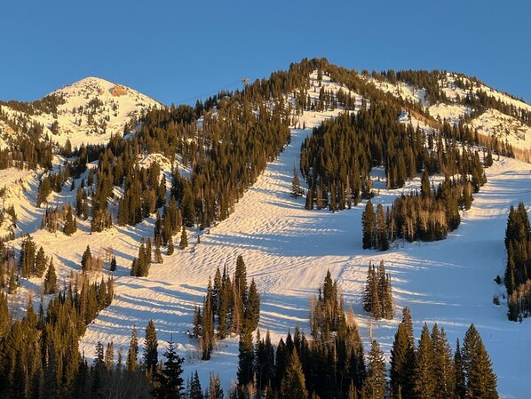 A snow-covered mountain landscape with dense forests and a clear sky. - Amazing two story loft condo at Snowbird, UT: March 21-28, 2026: Timeshare. (Snowbird)