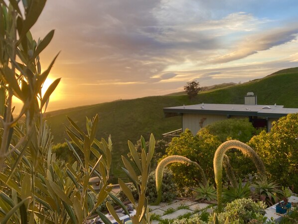 Property grounds - Raptor's View - Million Dollar Views From The Ventura Hillsides (Ventura)