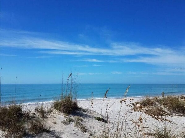 Vlak bij het strand