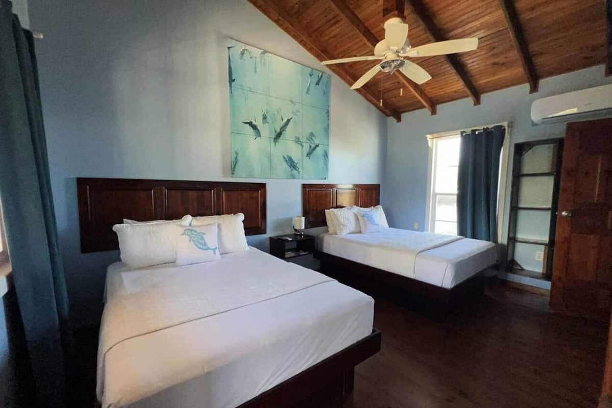 Appartamento Classic, balcone, vista cortile | 1 camera, Wi-Fi gratuito