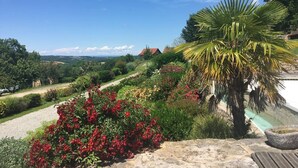 Un jardín con flores rojas, una palmera y una vista de una casa distante.