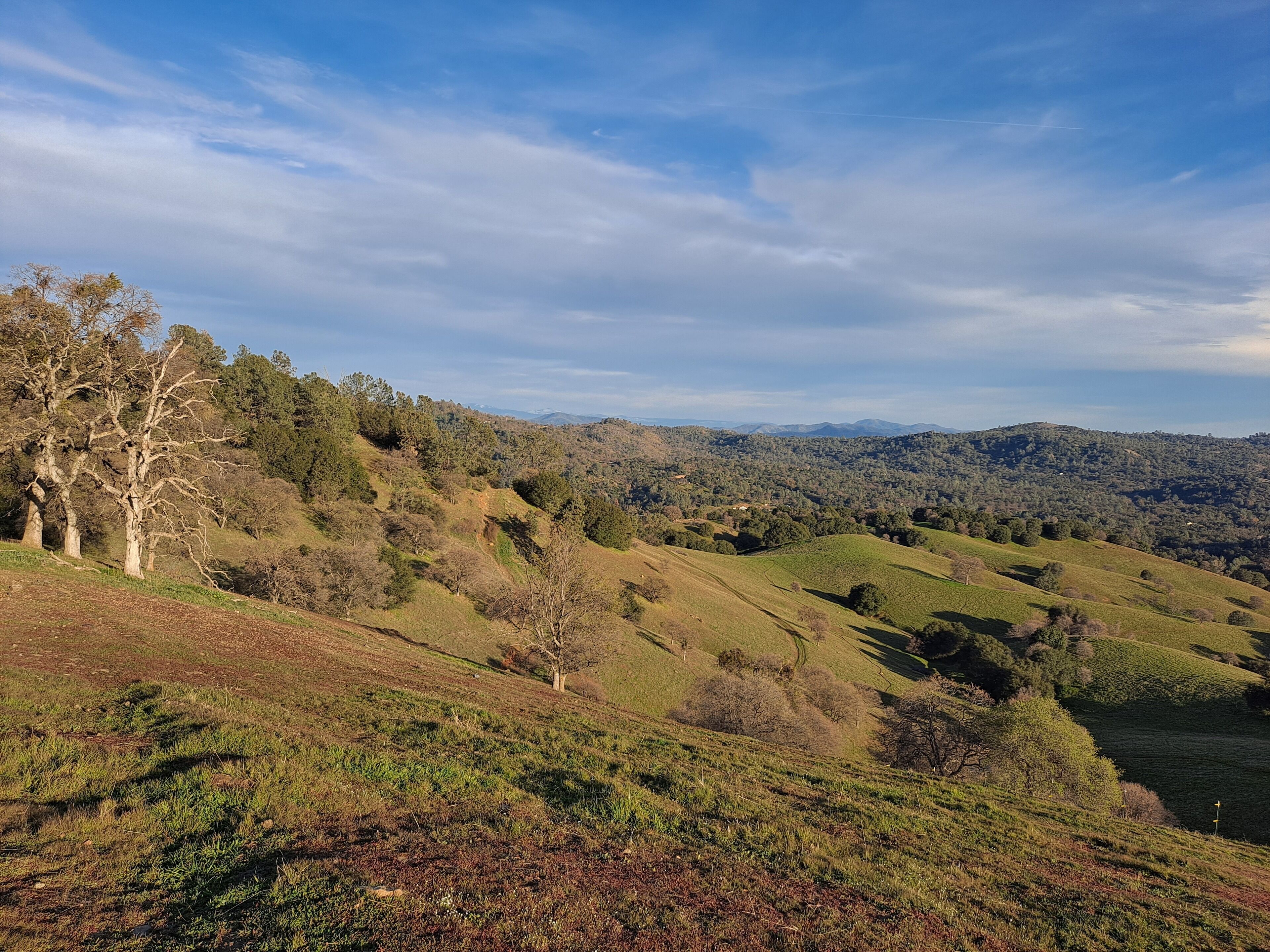 A panoramic view of a hilly landscape with a clear sky.