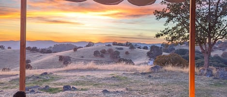 Servicio de la propiedad