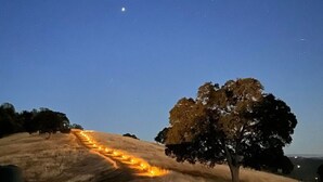 A road with a series of lights leading up a hill, a tree, and a clear night sky. - Wildhaven Yosemite Glamping (Mariposa)