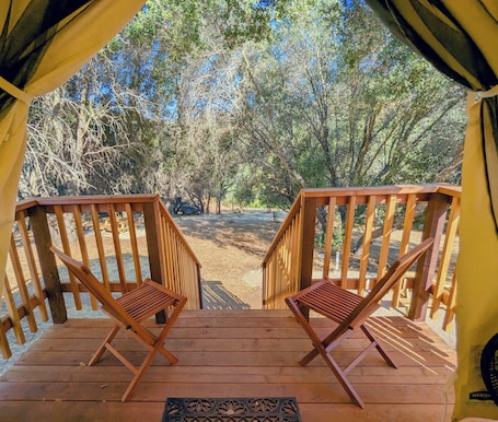 Vista desde la habitación