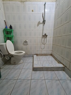 Shower, towels, soap, toilet paper