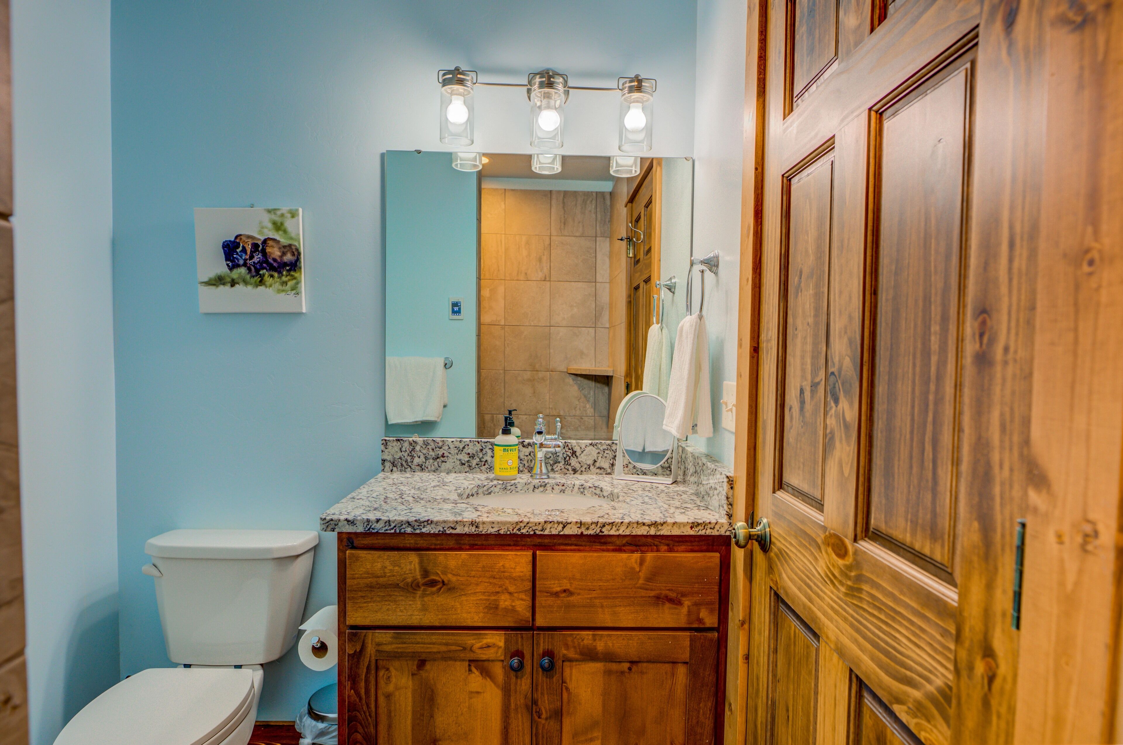A bathroom with a toilet, sink, vanity, and wooden door.