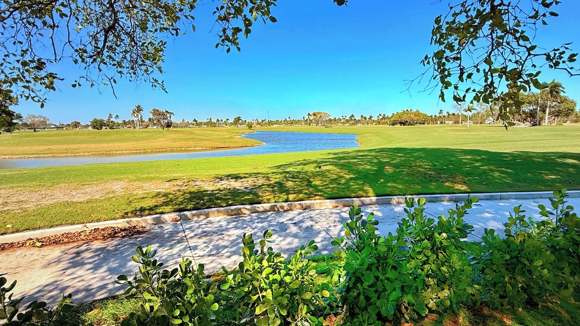 A golf course with a pond, green grass, and trees.