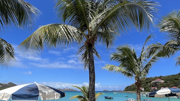 A beach with palm trees, lounge chairs, and umbrellas.