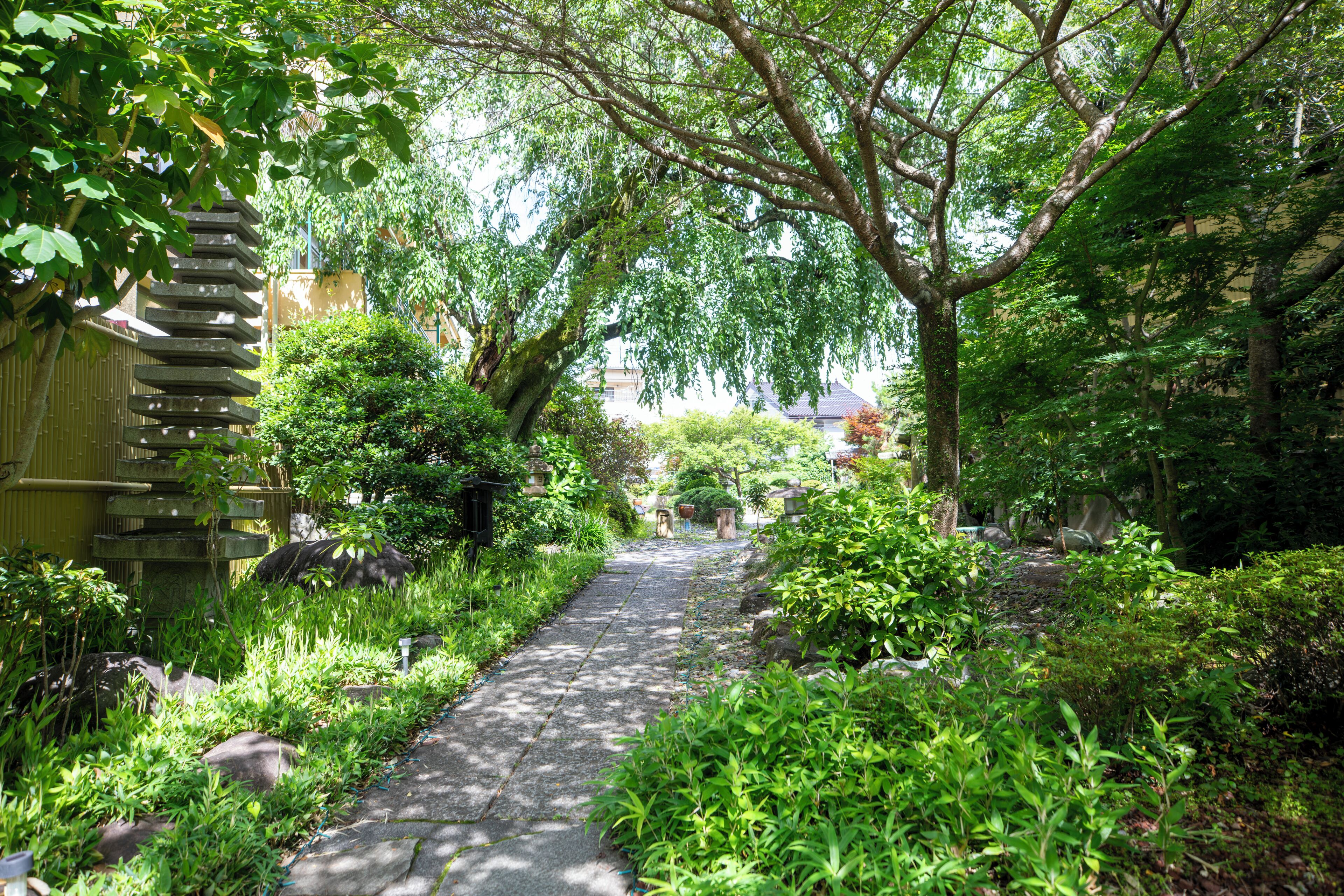 A garden pathway with stone paving, surrounded by lush greenery and trees.