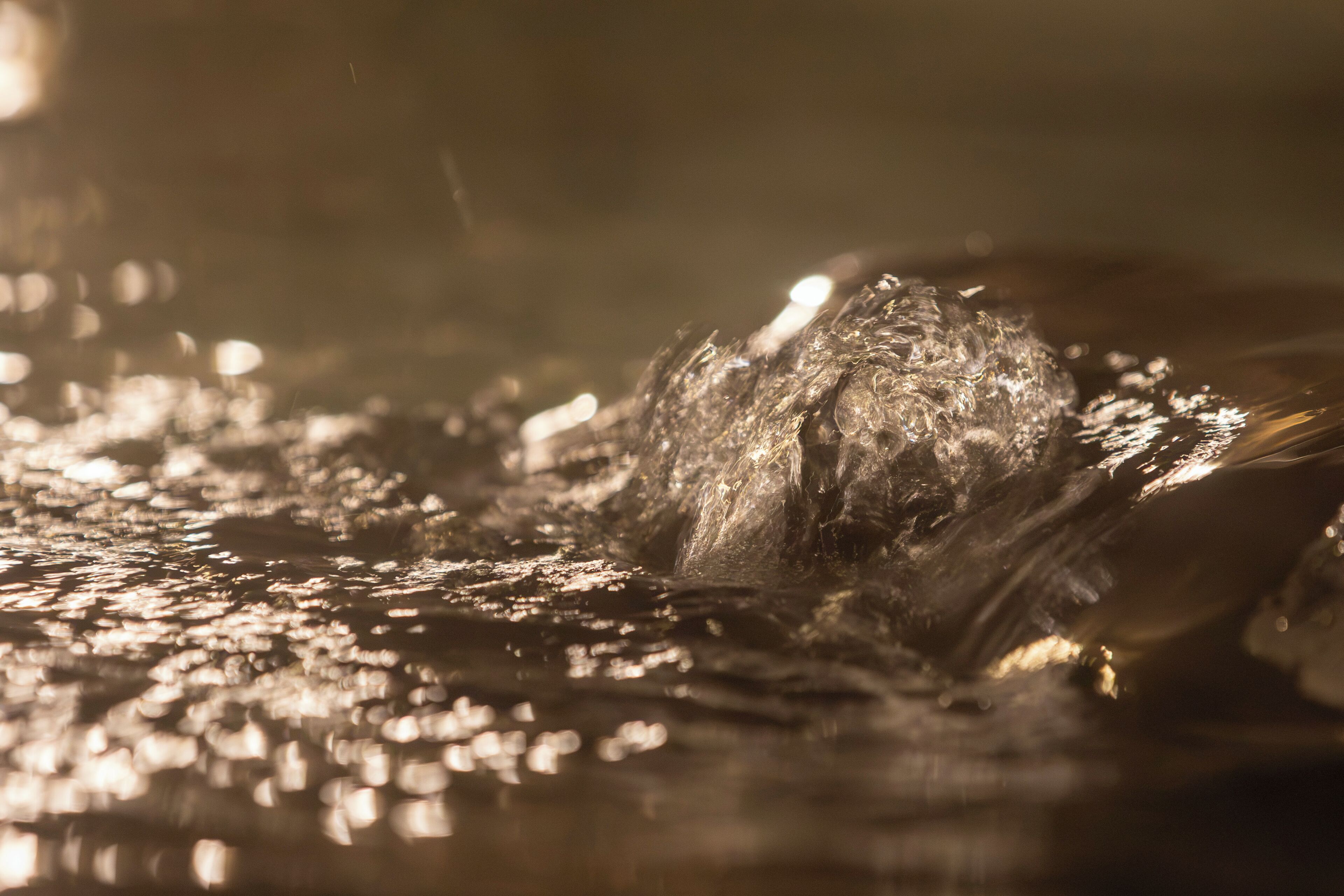 A close-up of water splashing, creating dynamic reflections.
