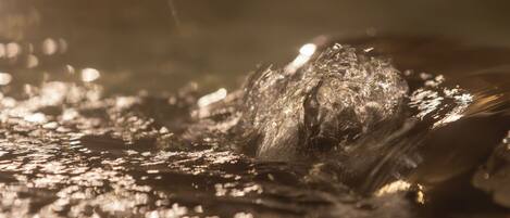 A close-up of water splashing, creating dynamic reflections.