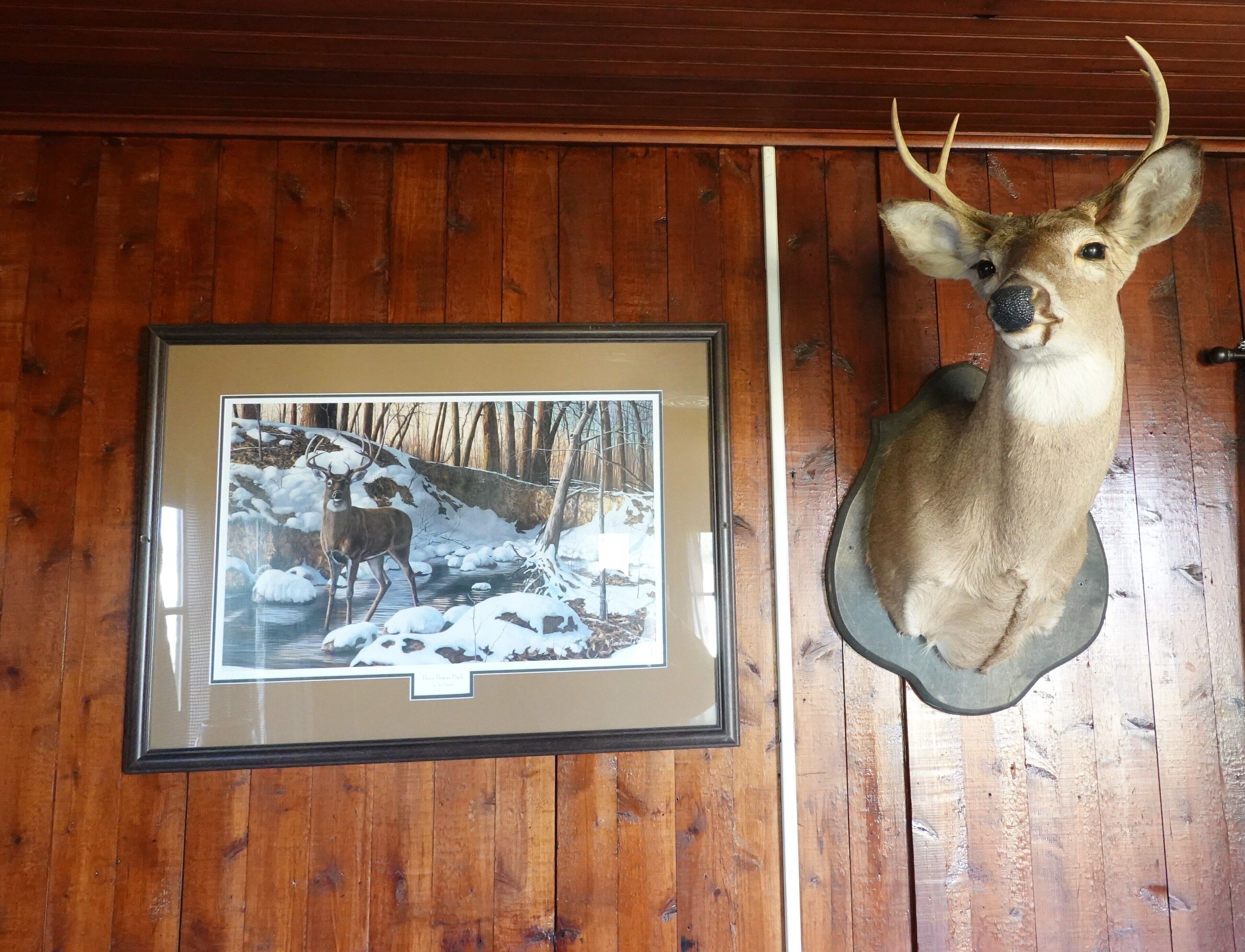 A framed photograph of a deer in a snowy landscape, mounted on a wooden wall next to a deer head.