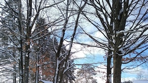 Un paysage enneigé avec une rangée de cabanes et d’arbres.